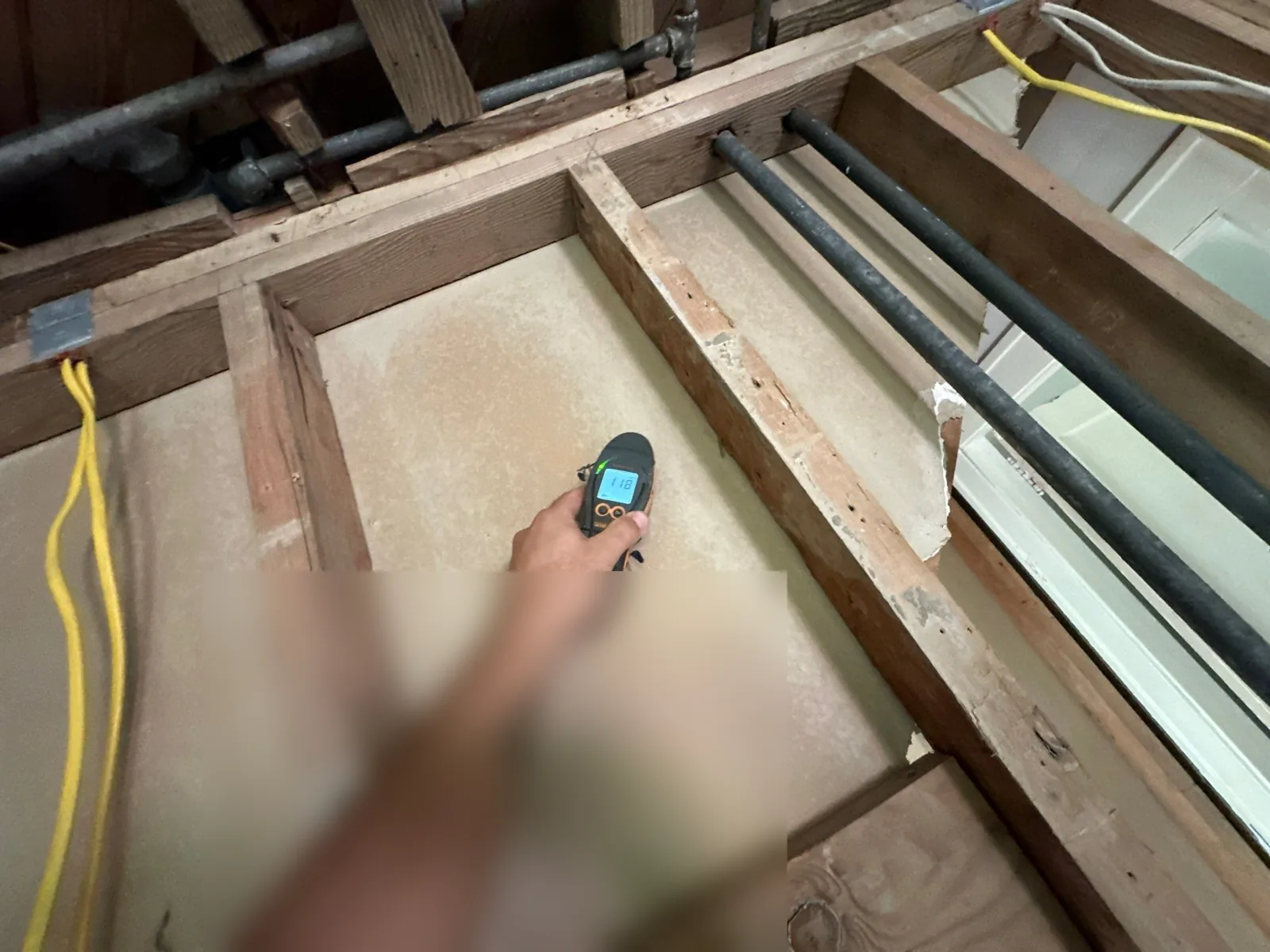 Moisture meter reading taken on the exposed subfloor between framing members after a kitchen cabinet base was removed