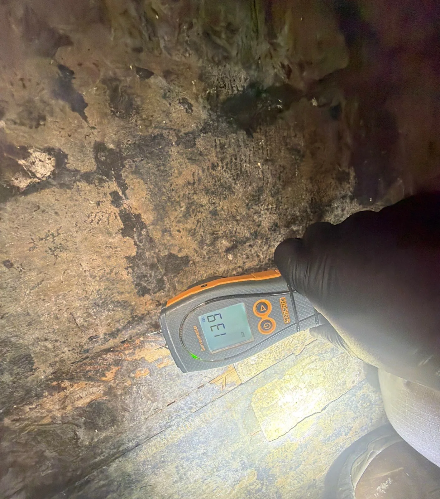 Technician pressing a pin moisture meter against a mold-stained, water-damaged wood subfloor in a kitchen