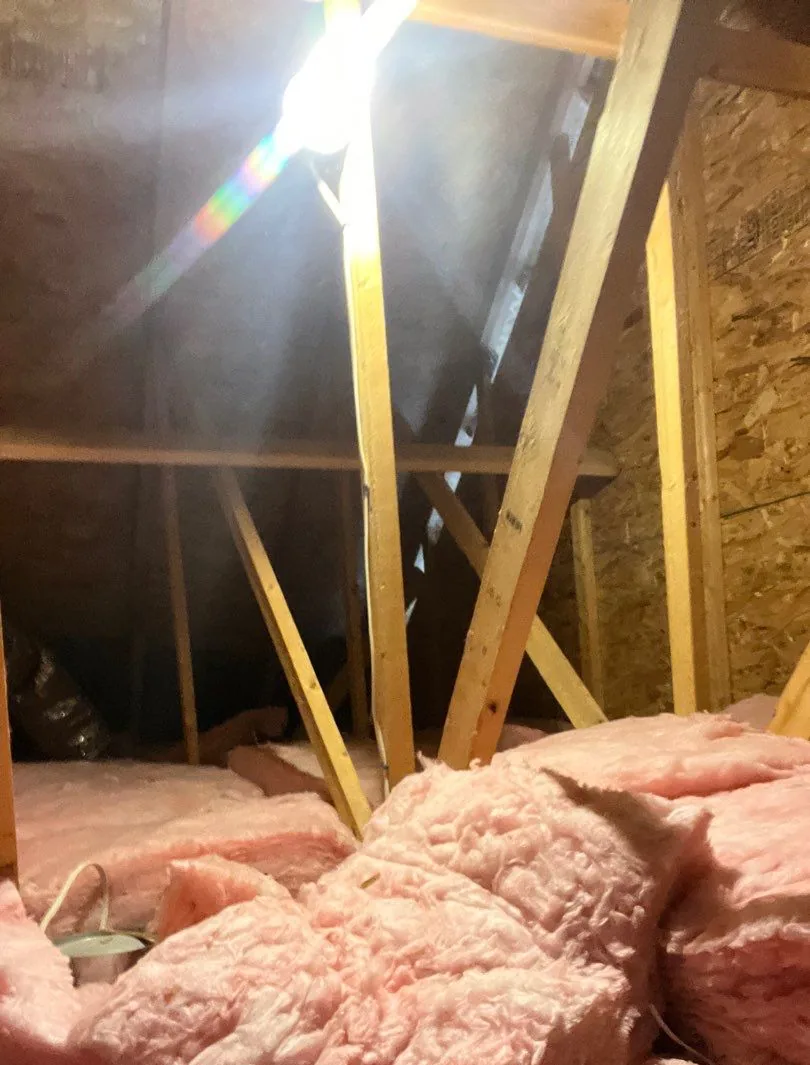 Disturbed pink fiberglass batts on an attic floor below roof rafters after a leak
