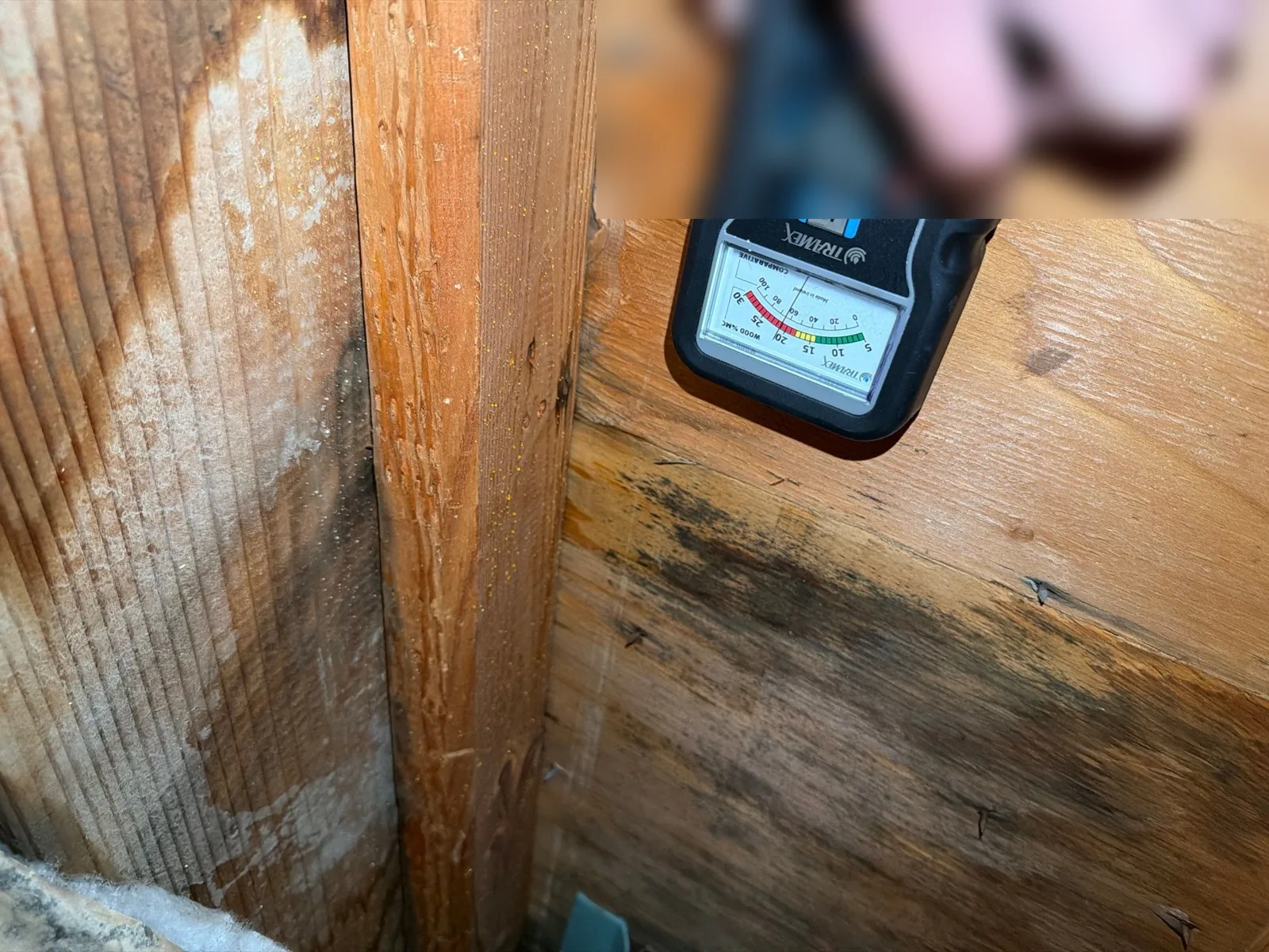 Moisture meter reading on attic framing and sheathing with dark water and mold staining