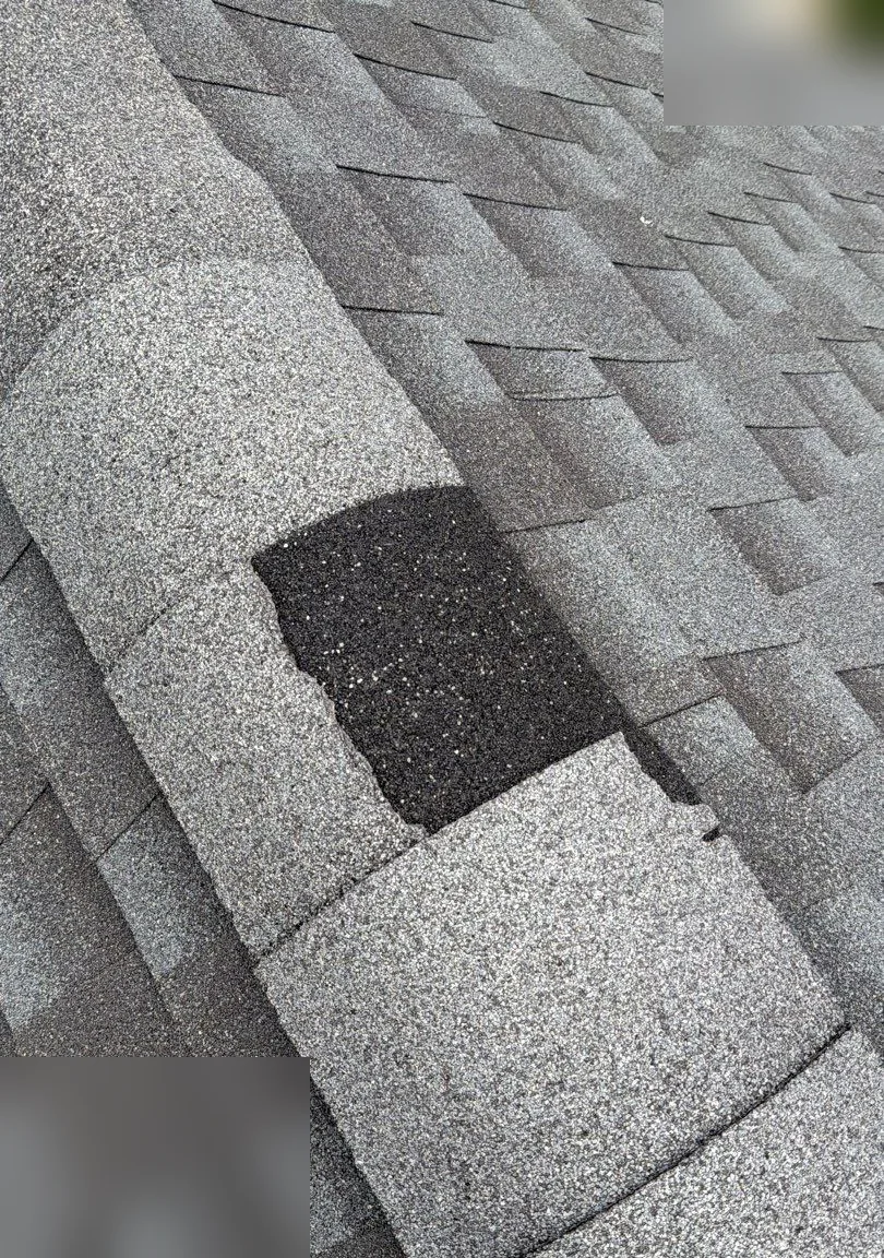 Asphalt shingle roof with a tab torn off by wind, exposing the underlayer