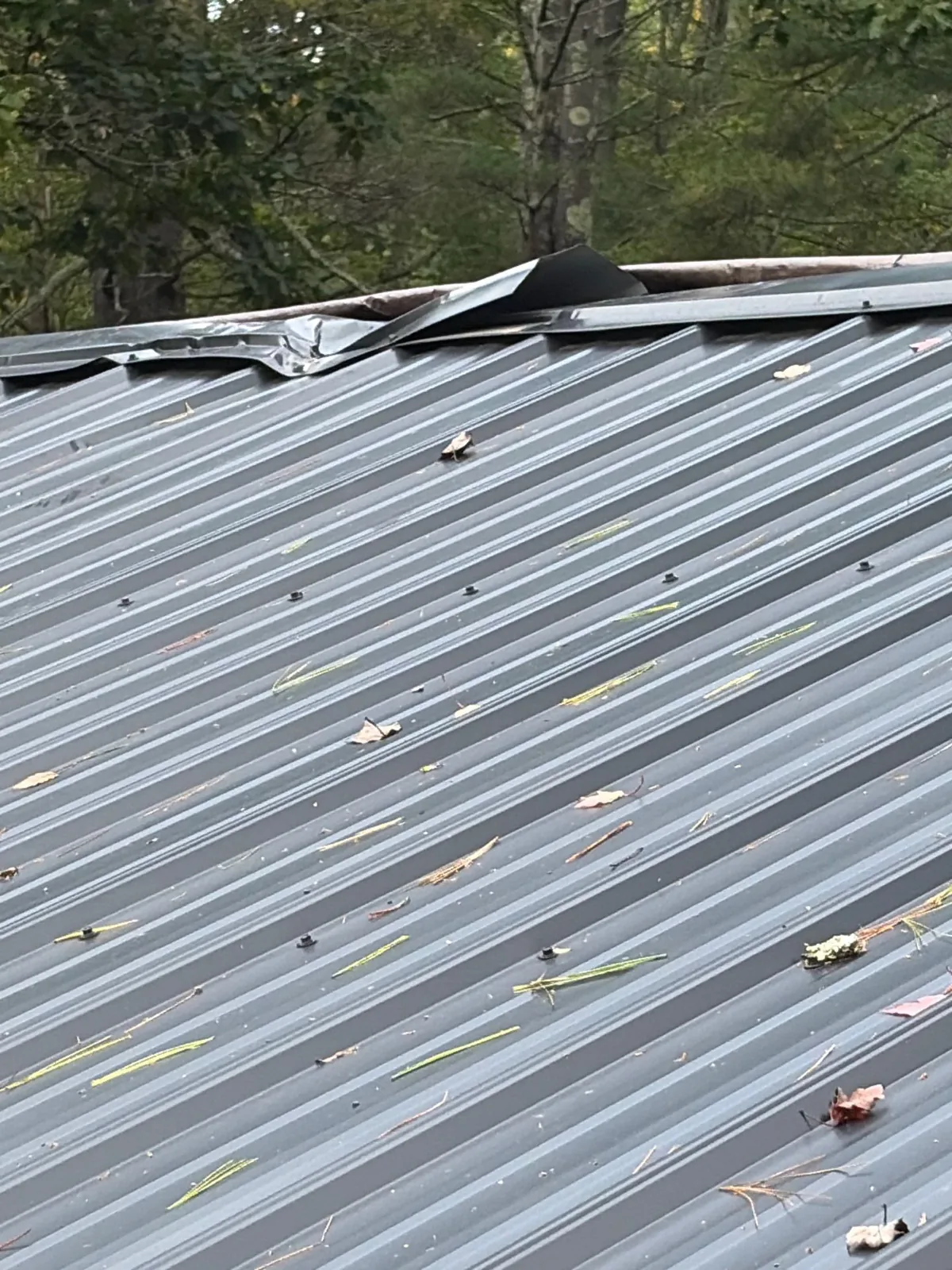 Metal roof with the ridge cap peeled up by storm wind