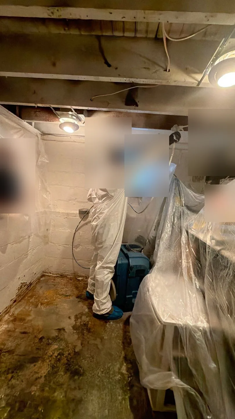 Technician in a full protective suit and respirator spraying antimicrobial inside plastic containment in a basement with mold-stained floor
