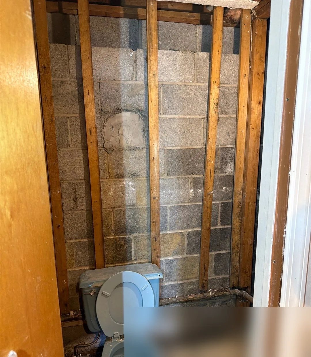 Basement bathroom wall opened down to studs and concrete block, showing staining behind the removed drywall