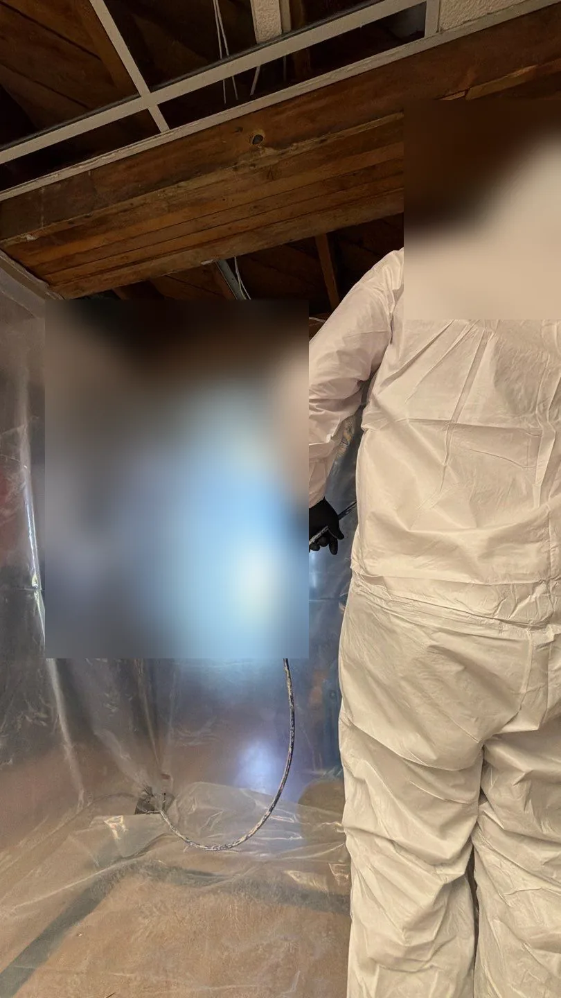 Technician in a white protective suit applying treatment inside plastic sheeting containment under exposed basement joists