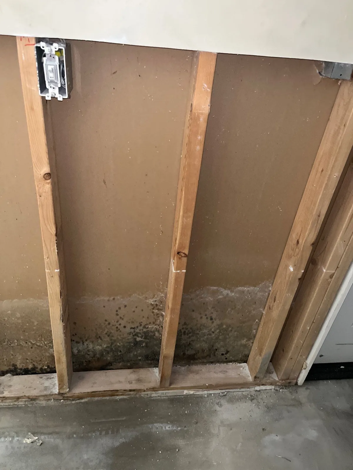Drywall removed to expose studs and mold growth along the bottom of a water-damaged wall