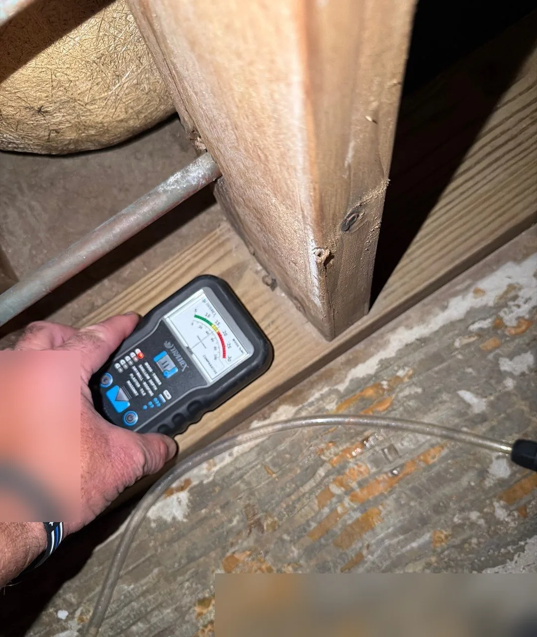 Technician reading moisture at the base of a wall stud and bottom plate with a moisture meter