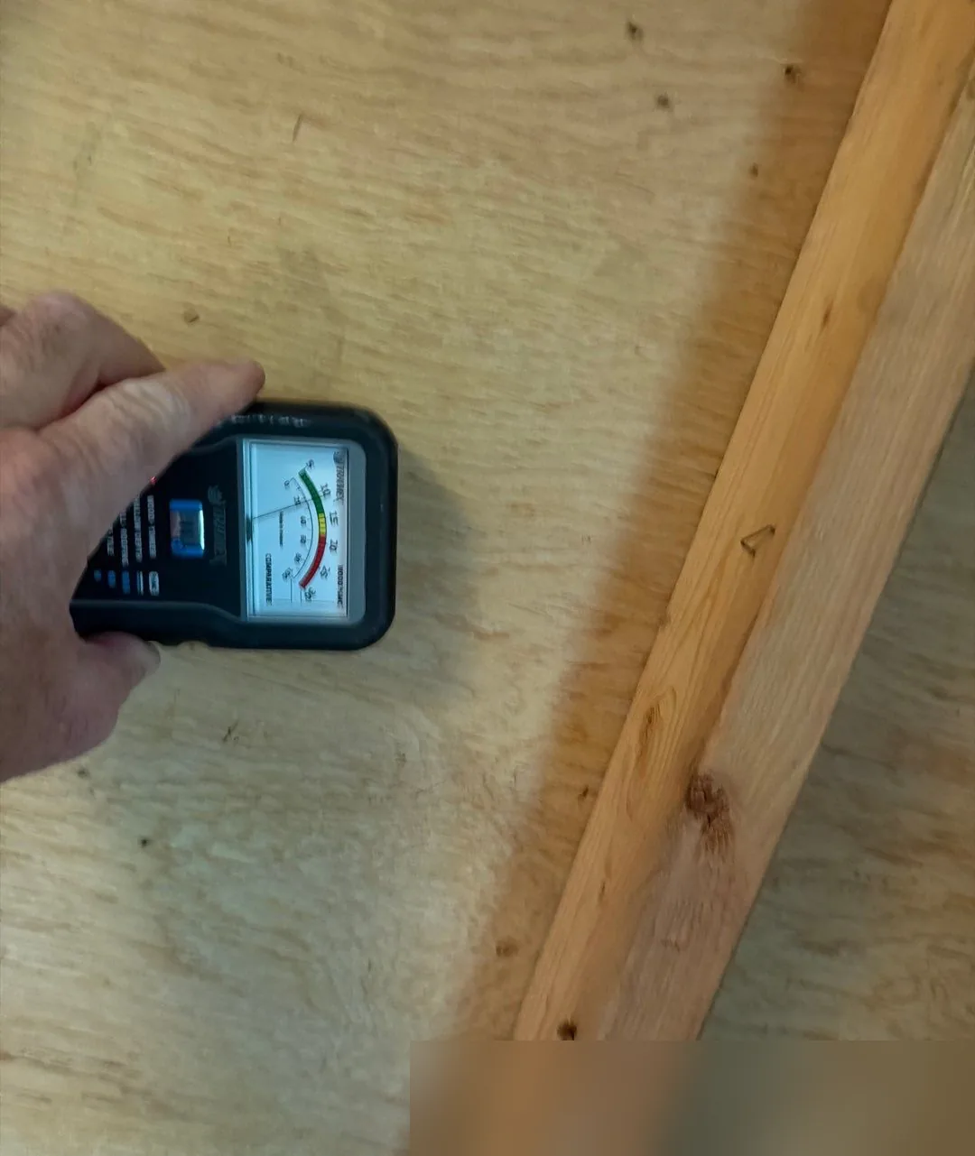 Moisture meter held against wood sheathing beside a framing member during a water damage inspection