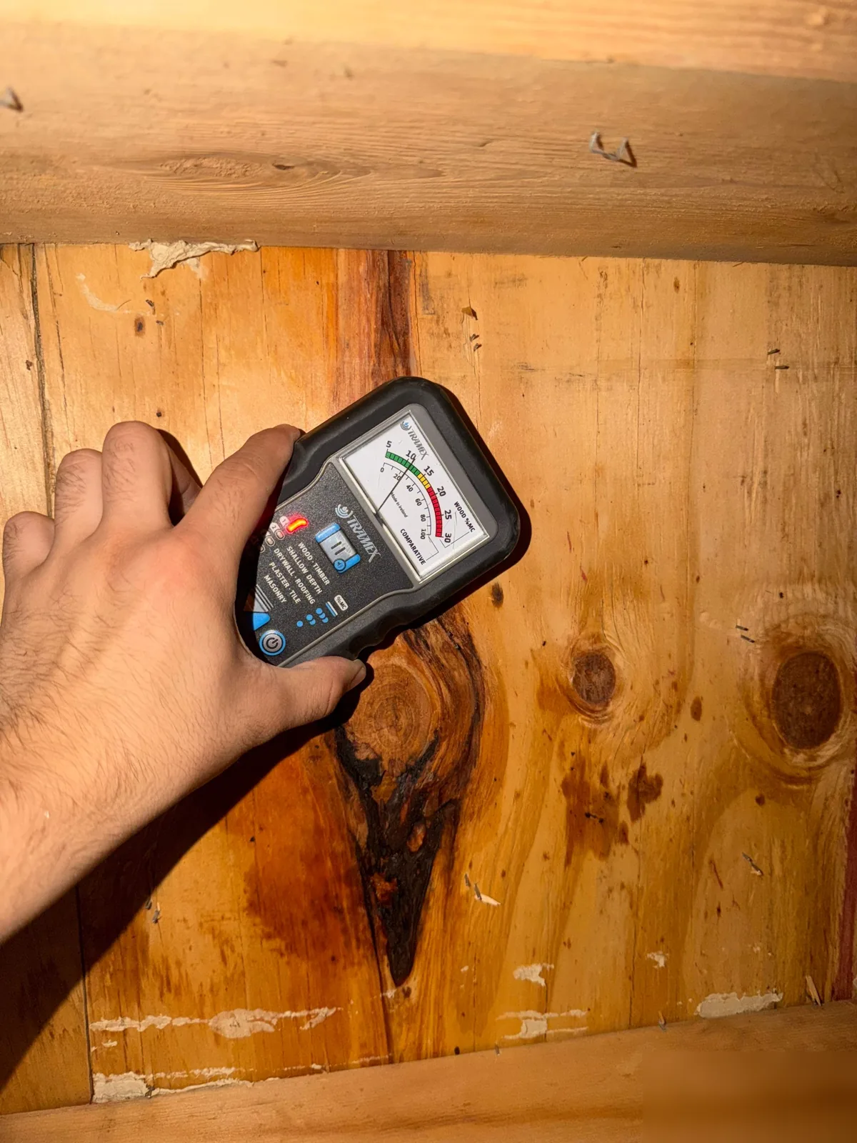 Moisture meter reading on wood framing with a dark water stain running down the grain